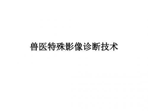 兽医特殊影像诊断技术ppt课件