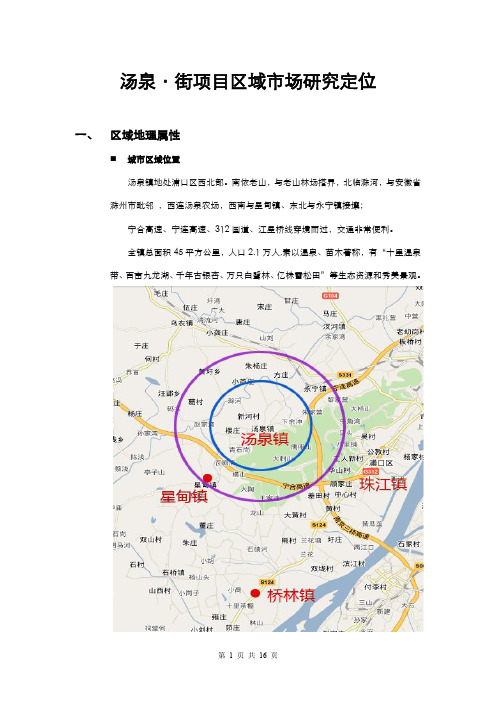 项目市场定位