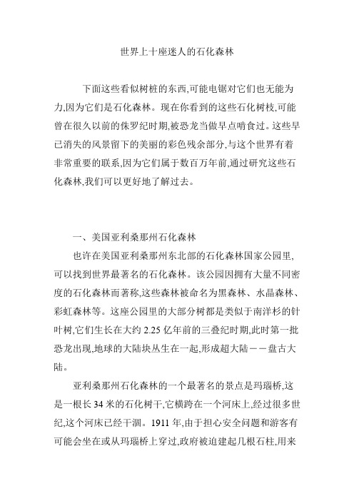 世界上十座迷人的石化森林