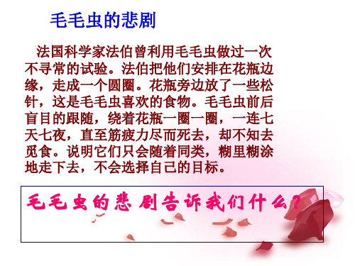 佛山市中大附中三水实验中学八年级政治上册_43追求有意义的人生ppt课件粤教版