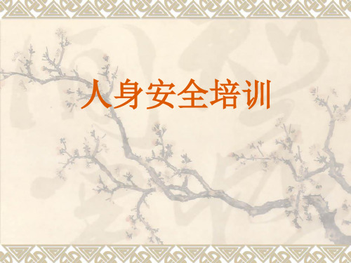 人身安全培训
