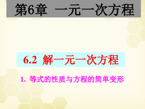 华东师大版七年级下册数学课件：6.等式的性质与方程的简单变形3(共19张)