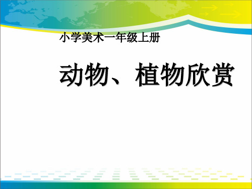 《动物、植物欣赏》PPT课件【优秀课件推荐】