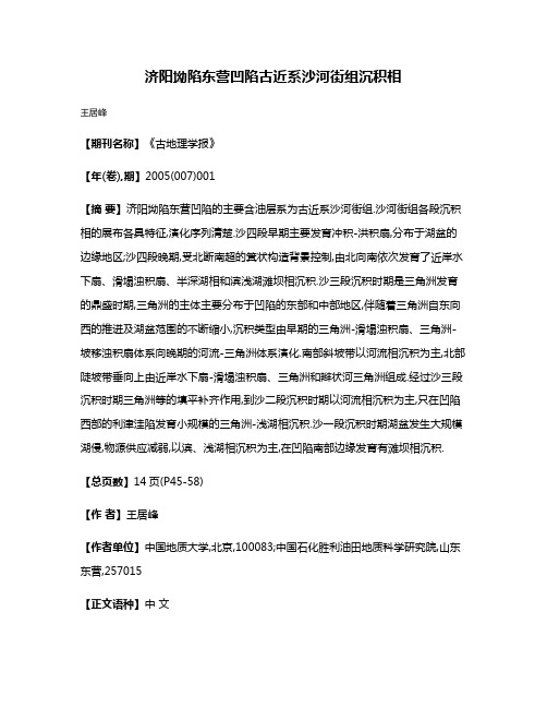 济阳坳陷东营凹陷古近系沙河街组沉积相