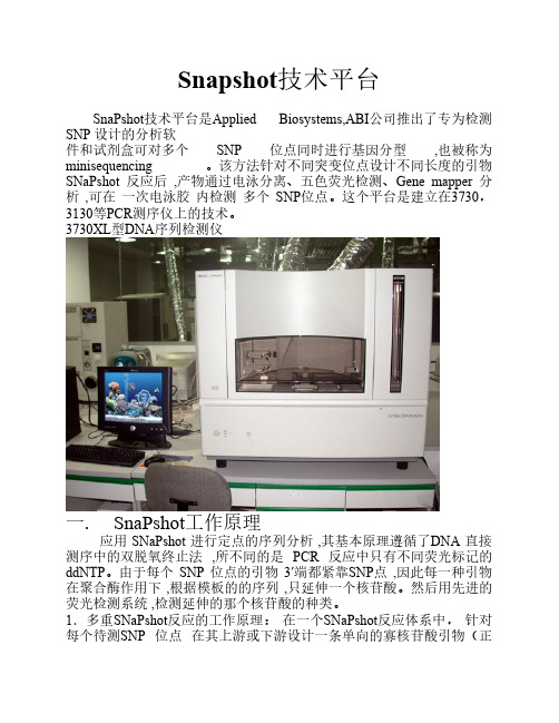 Snapshot技术平台(中文)