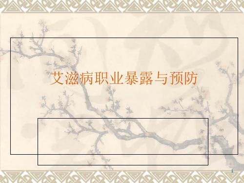 艾滋病职业暴露与预防PPT课件