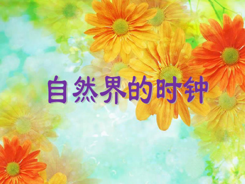 自然界的时钟