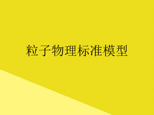 粒子物理标准模型PPP文档(最全版)
