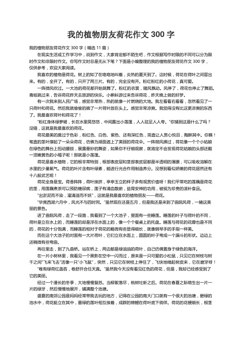我的植物朋友荷花作文300字（精选11篇）