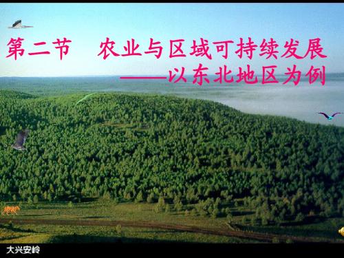 新新课标鲁教版高中地理必修三第四单元《第二节 农业与区域可持续发展——以东北地区为例》精品课件
