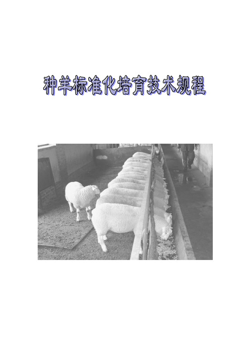 种羊培育技术规程