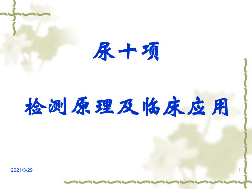 尿十项知识讲座
