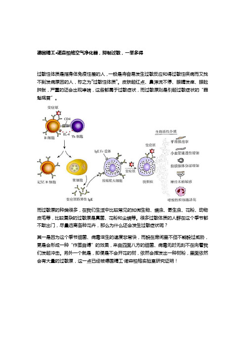 德国精工·诺森柏格空气净化器,抑制过敏,一举多得