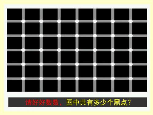 20.《落日的幻觉》示范课件.ppt