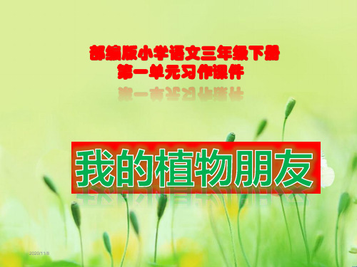 我的植物朋友习作课件PPT