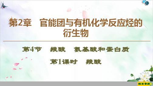 鲁科版高三化学选修同步教学PPT5