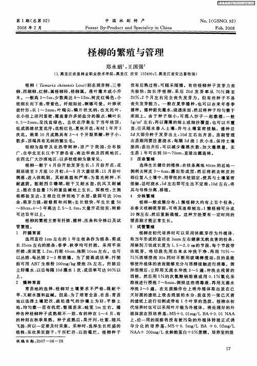 柽柳的繁殖与管理