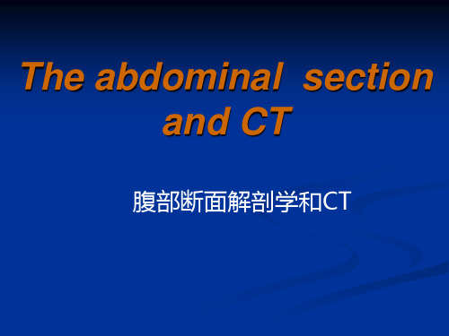 人体断面解剖学课件：07_腹部断面解剖学和CTn