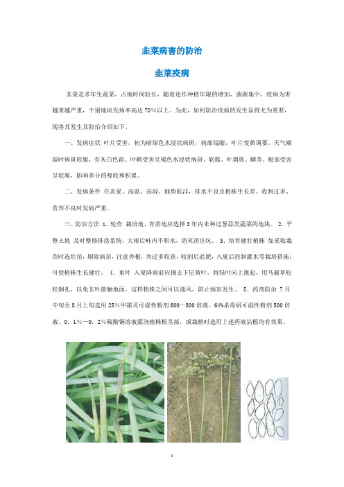 韭菜病害的防治