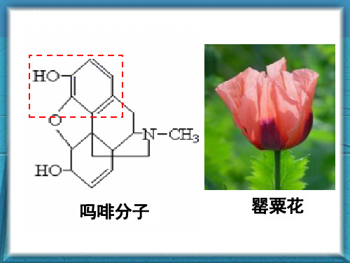 酚