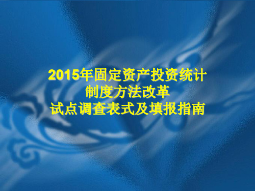 XXXX年固定资产投资统计制度方法改革试点调查表式及填