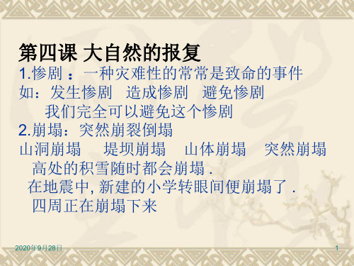 第四课大自然的报复词语课件概要PPT课件