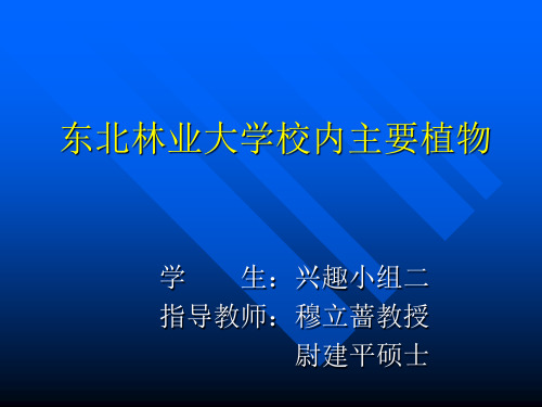 东北林业大学校内主要植物