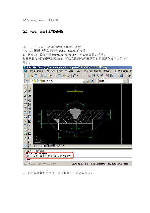 CAD word  exail转化