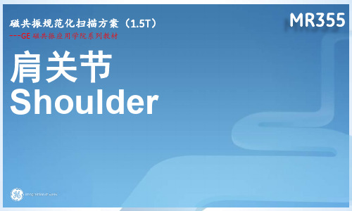 GE1.5T磁共振光纤 MR355 上肢(1-4) 肩关节 Shoulder