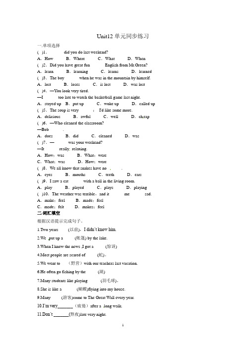 Unit12单元同步练习(含答案) 人教版 英语七年级下册