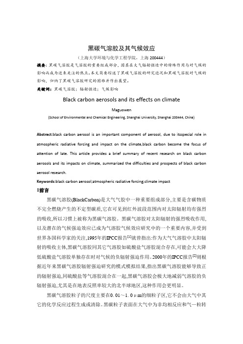 黑碳气溶胶及其气候效应