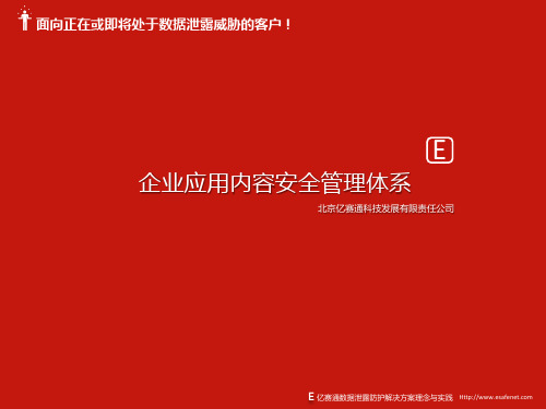 亿赛通产品PPT
