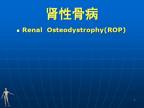 肾性骨病(课堂PPT)