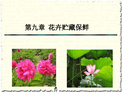 第九章-花卉贮藏