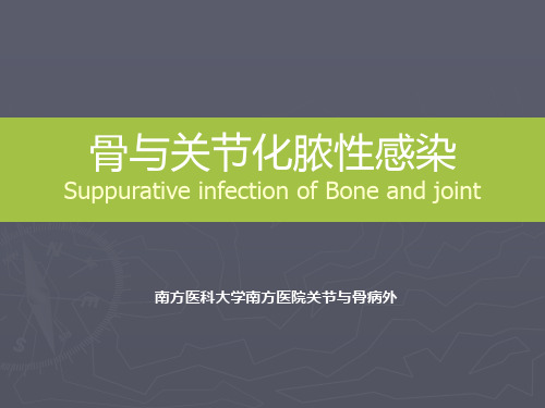 骨与关节化脓性感染