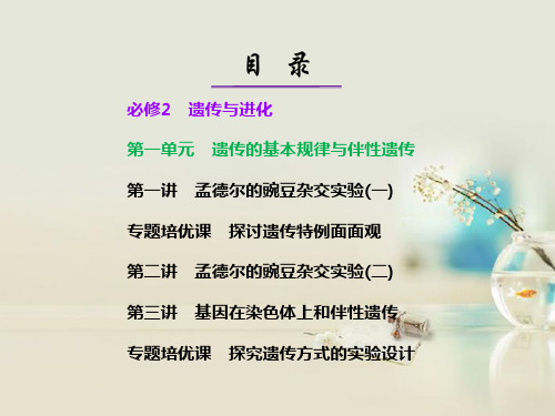 高考生物一轮复习第一单元遗传基本规律与伴性遗传新人教必修精品PPT课件