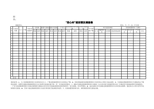 空心村调查表