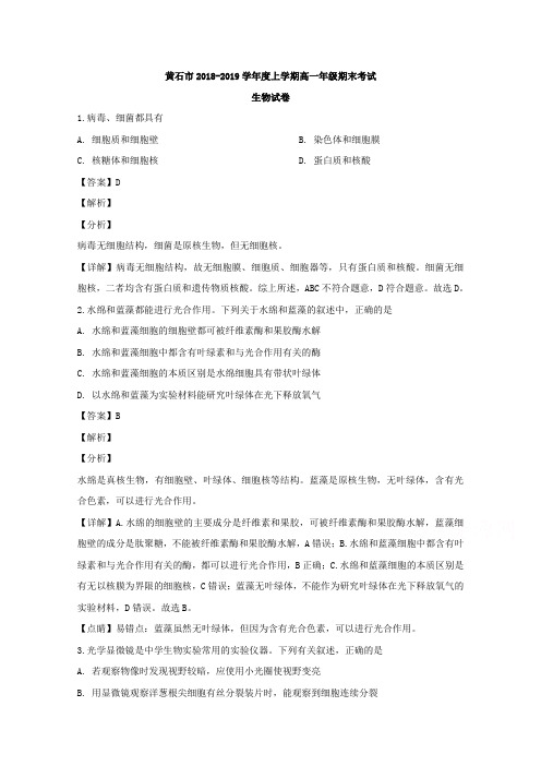 高一上学期期末考试生物试题含解析 (33)