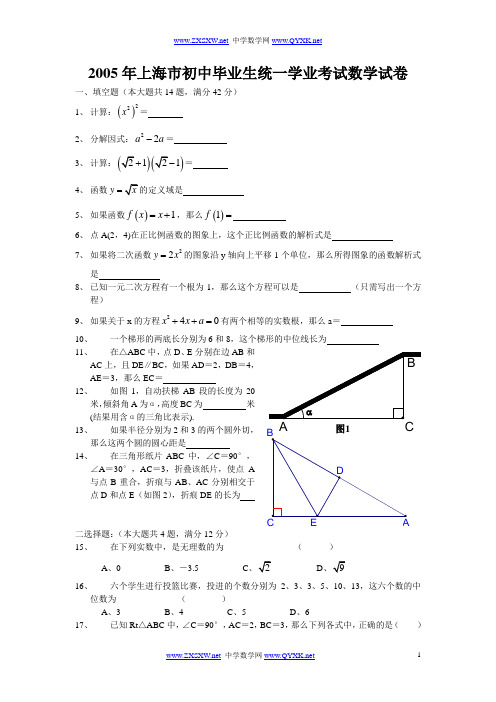 2005年上海市中考数学试题及详细答案(WORD版)