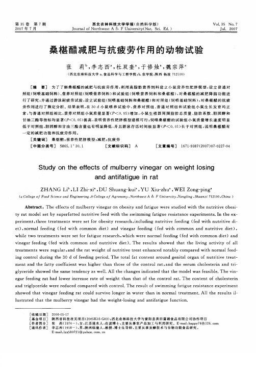 桑椹醋减肥与抗疲劳作用的动物试验
