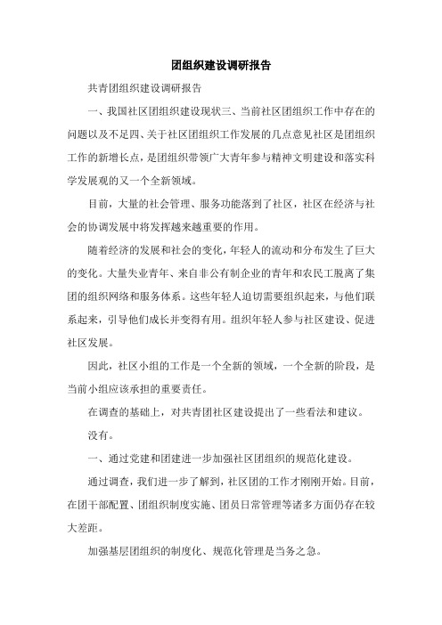 团组织建设调研报告.doc