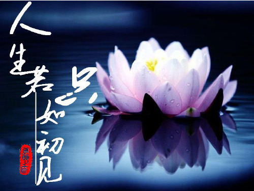 《木兰词·拟古决绝词柬友》详细介绍_会让你爱上这首词_爱上纳兰容若
