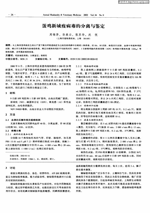 蛋鸡新城疫病毒的分离与鉴定