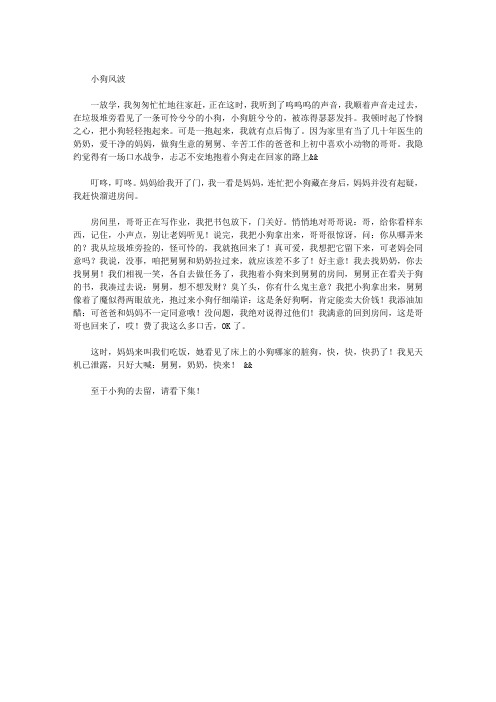 小狗风波