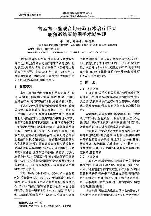 肾盂肾下盏联合切开取石术治疗巨大鹿角形结石的围手术期护理