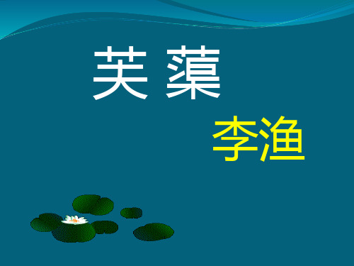 芙蕖
