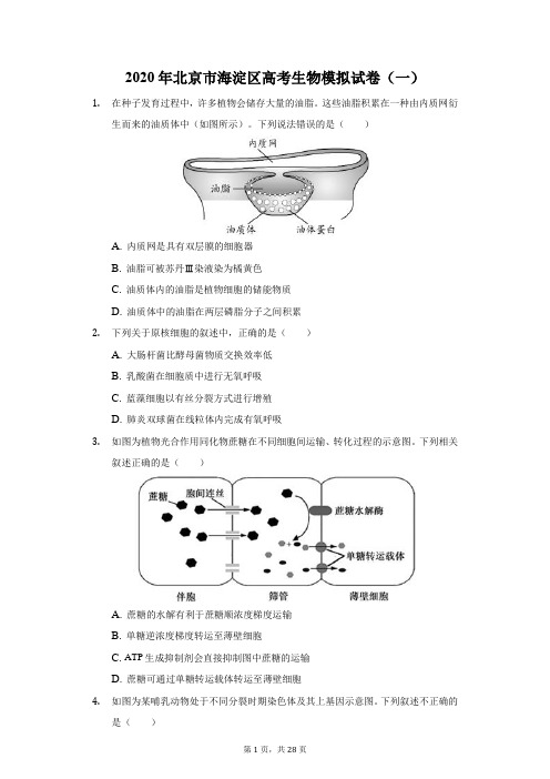2020年北京市海淀区高考生物模拟试卷(一)(附答案详解)