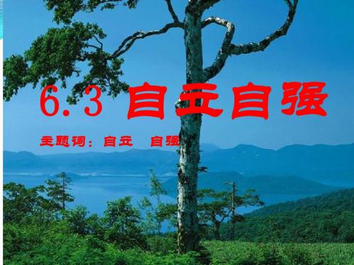 6.3《自立自强》