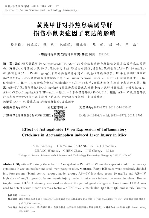 黄芪甲苷对扑热息痛诱导肝损伤小鼠炎症因子表达的影响