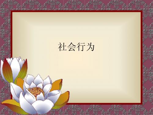 社会行为